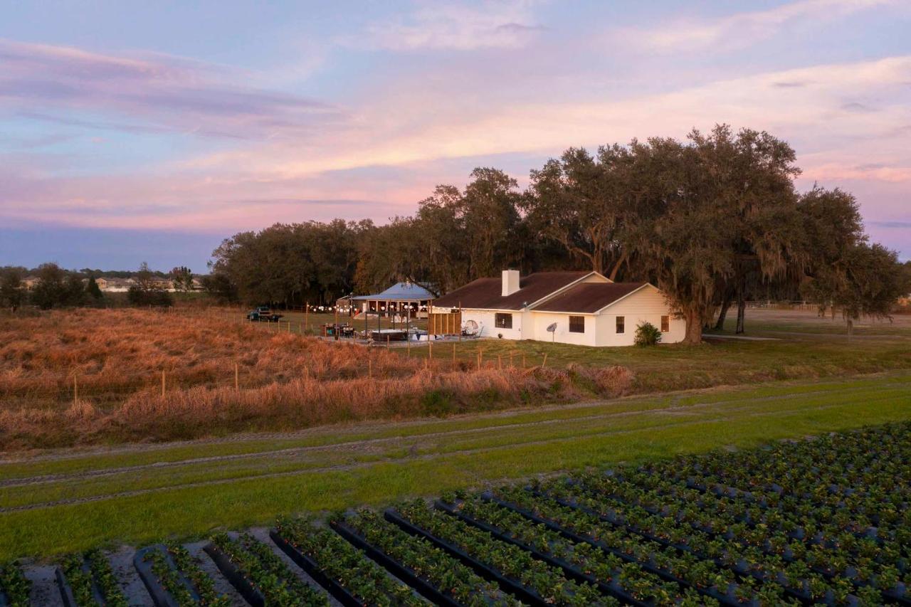 Plant City Home With Outdoor Pool! 외부 사진